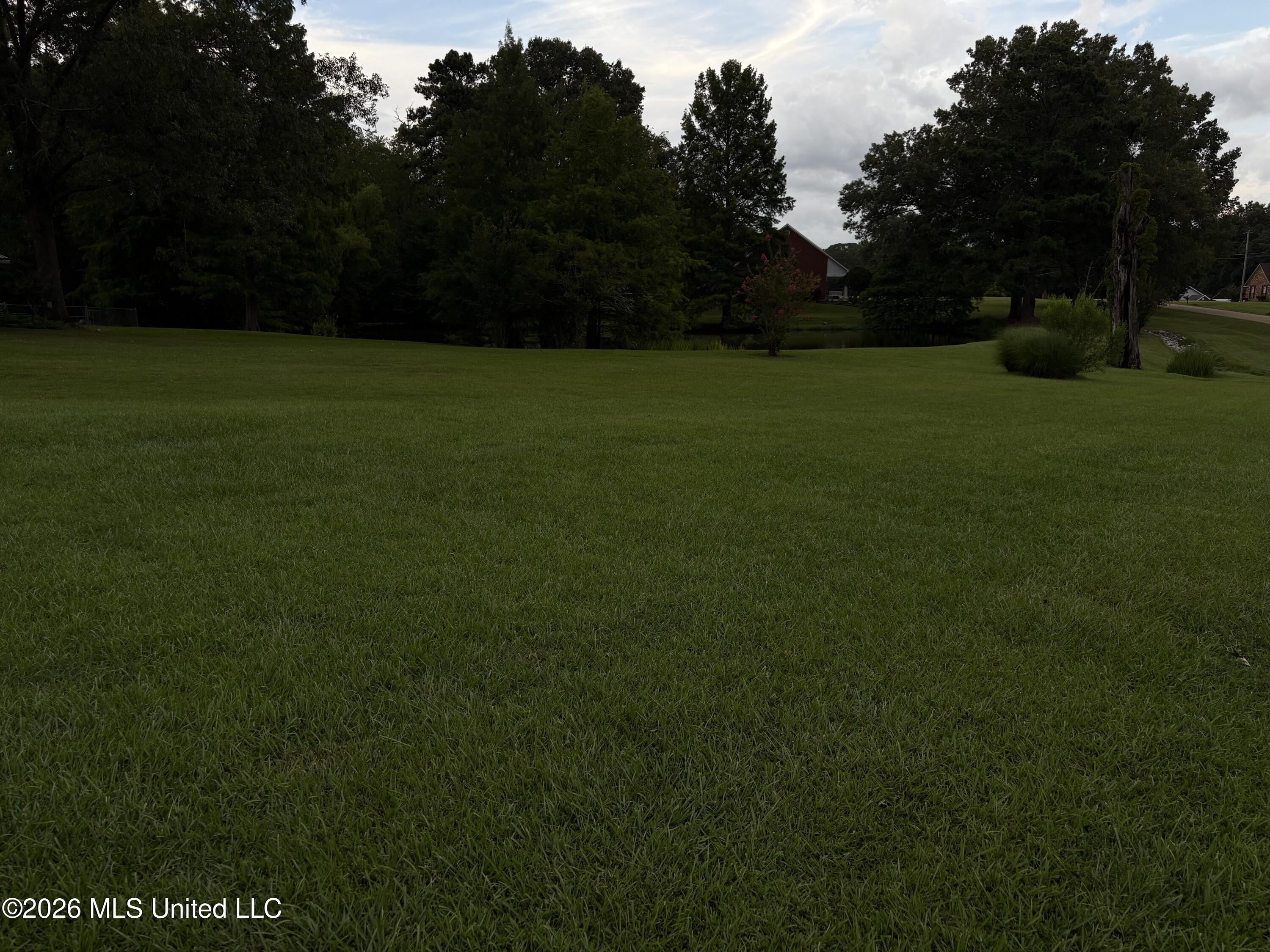 161 McCarty Road Jackson, MS 39212 - Photo 8 of 8 IMG_8943