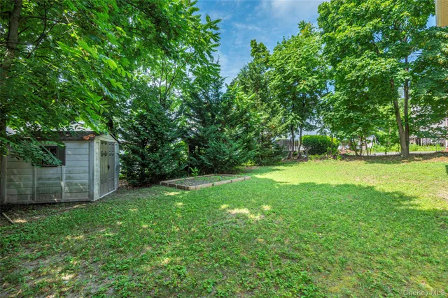 a view of a backyard with large trees