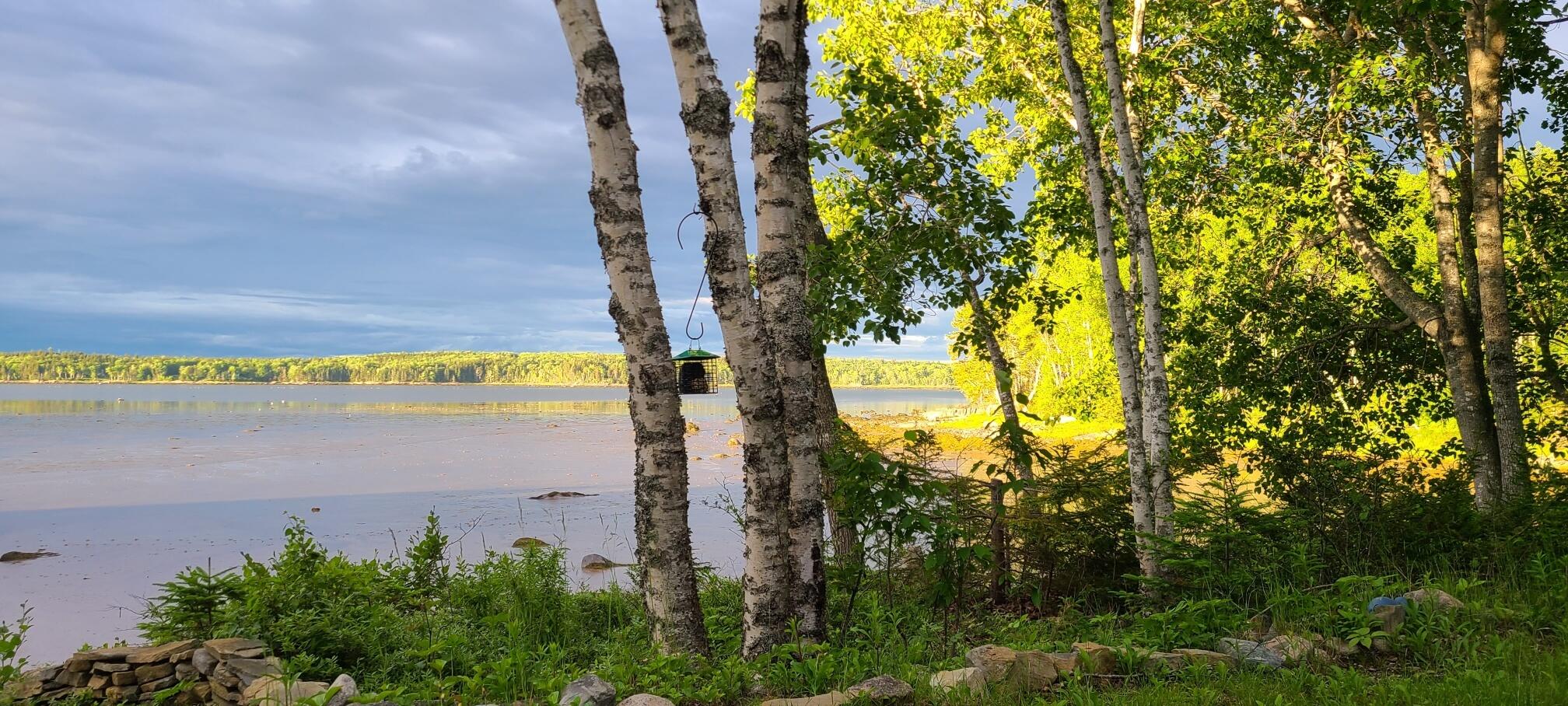 336 Rays Point Road Milbridge, ME 04658 - Photo 26 of 46