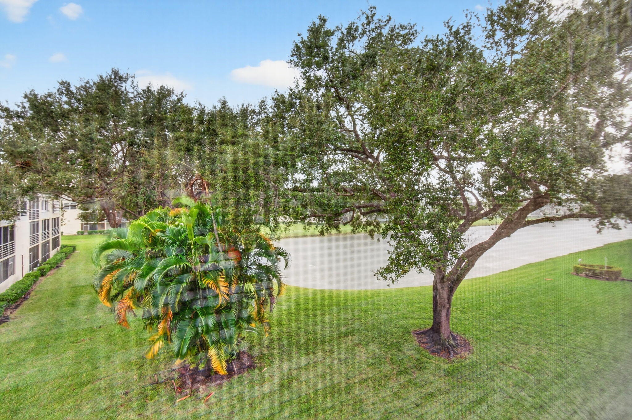 281 Dorset G Boca Raton, FL 33434 - Photo 38 of 85 a view of a yard with a tree