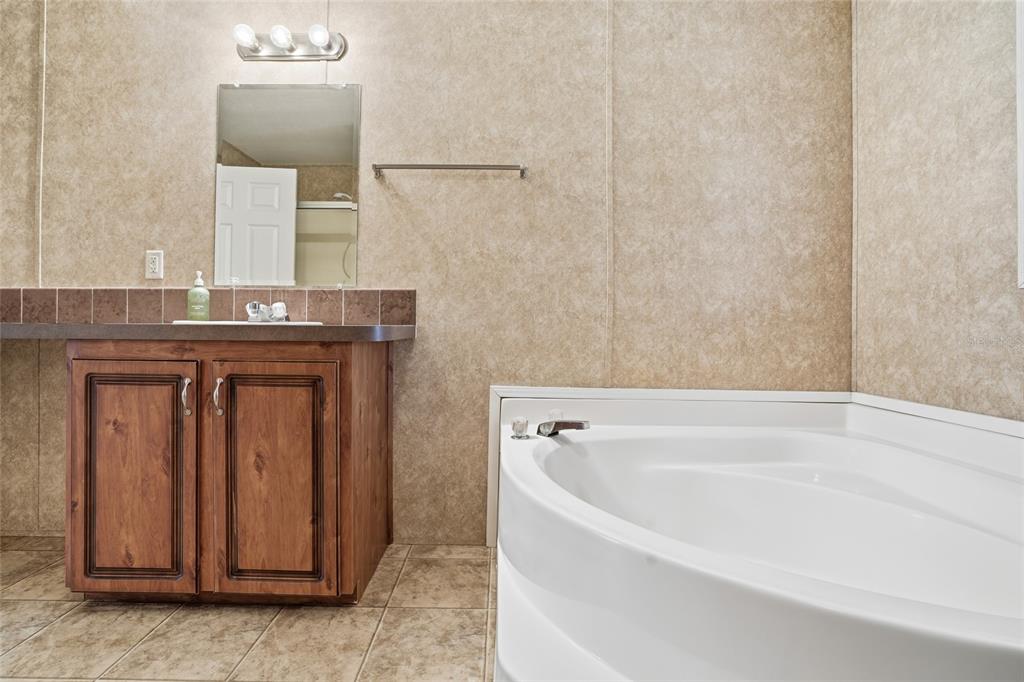 11305 Broadview Road Seffner, FL 33584 - Photo 19 of 34 a bathroom with a granite countertop sink and a mirror
