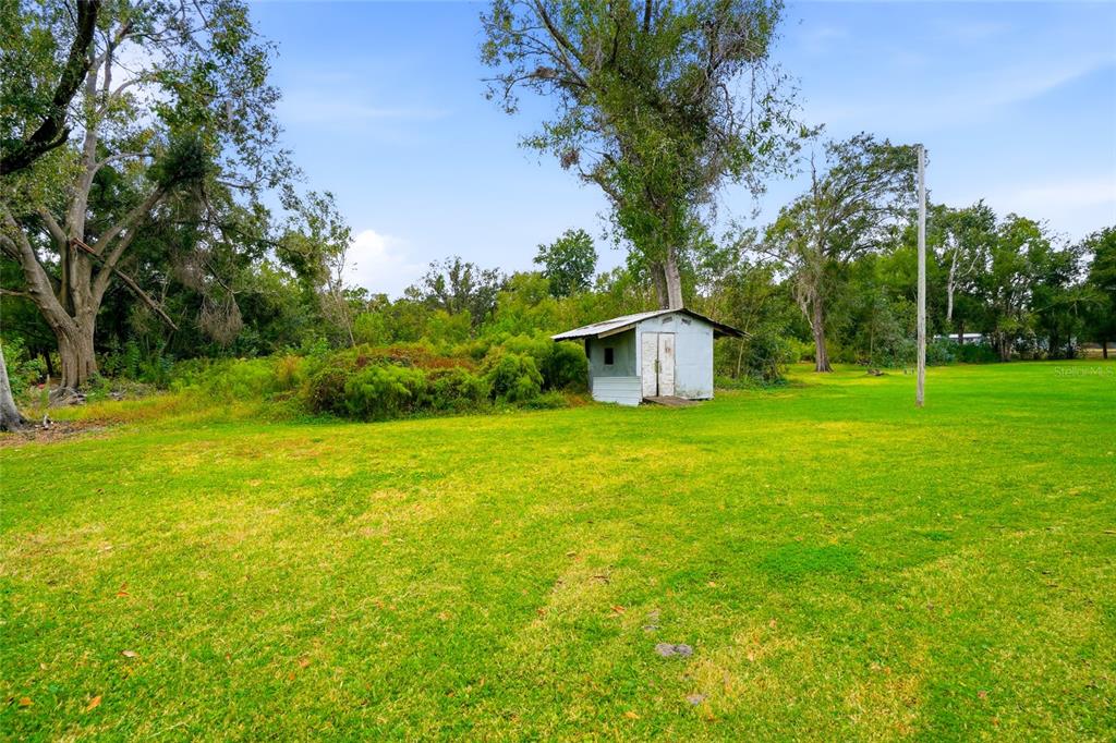 11305 Broadview Road Seffner, FL 33584 - Photo 29 of 34 a backyard of a house with plants and large trees