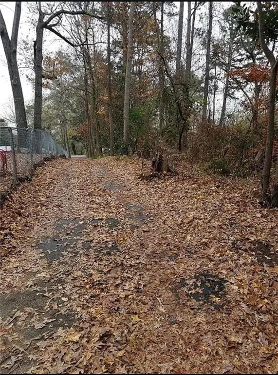 a view of a yard with trees