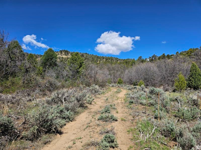 3 Mineral Springs Road Mount Carmel, UT 84755 - Photo 7 of 11
