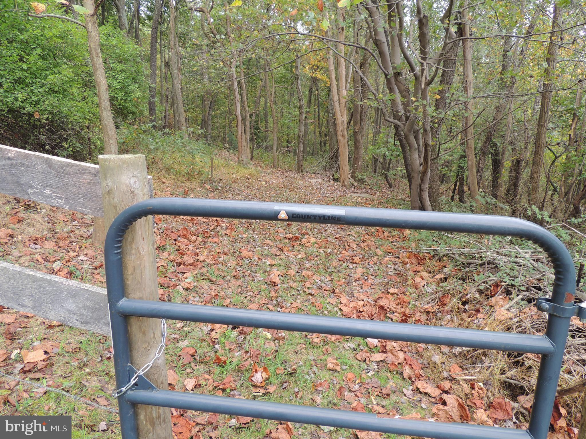 Buffalo Rd Mount Mount Airy, MD 21771 - Photo 11 of 11 SW Gate Overlooking Woods