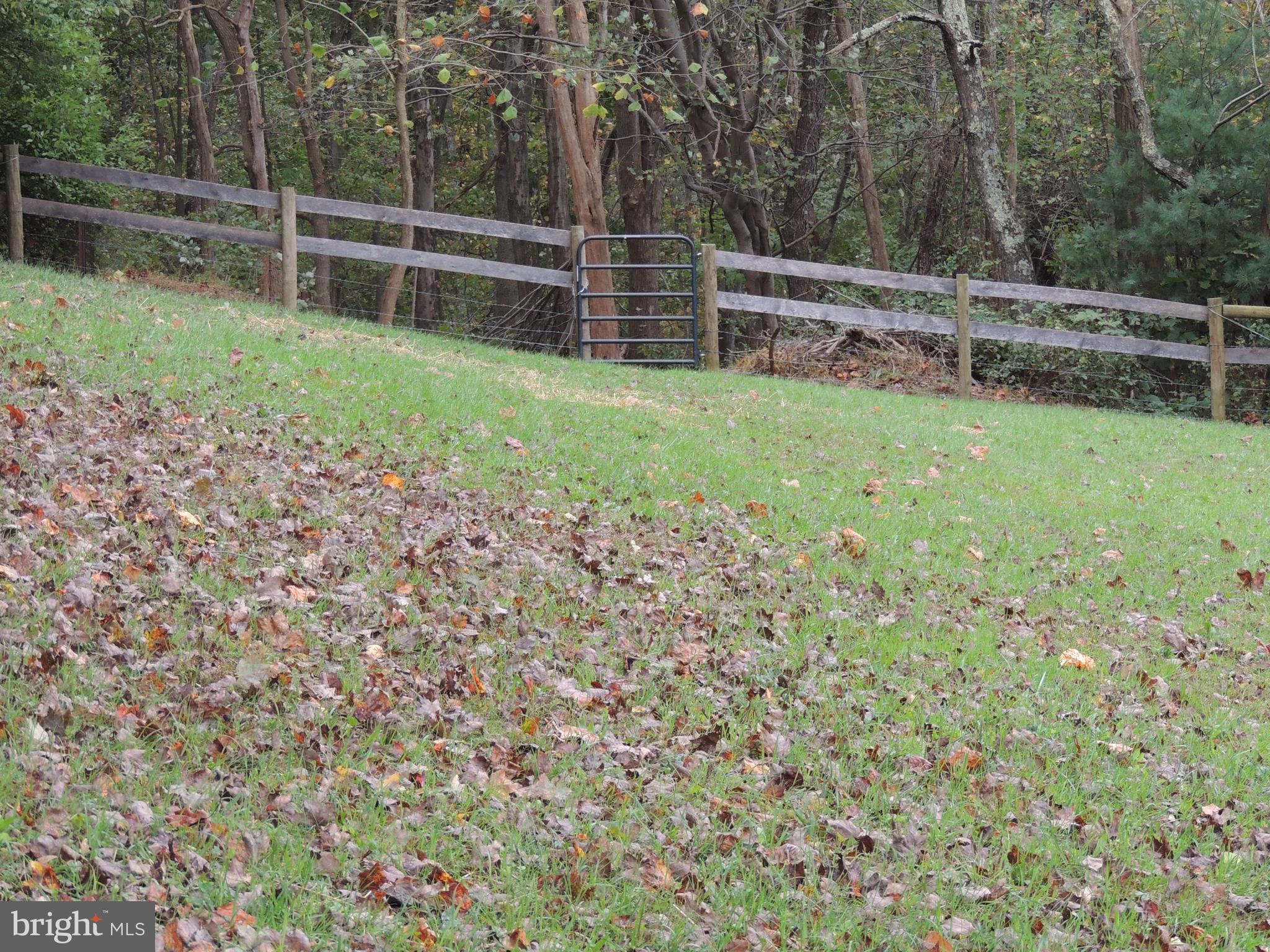 Buffalo Rd Mount Mount Airy, MD 21771 - Photo 10 of 11 SW View to Gate