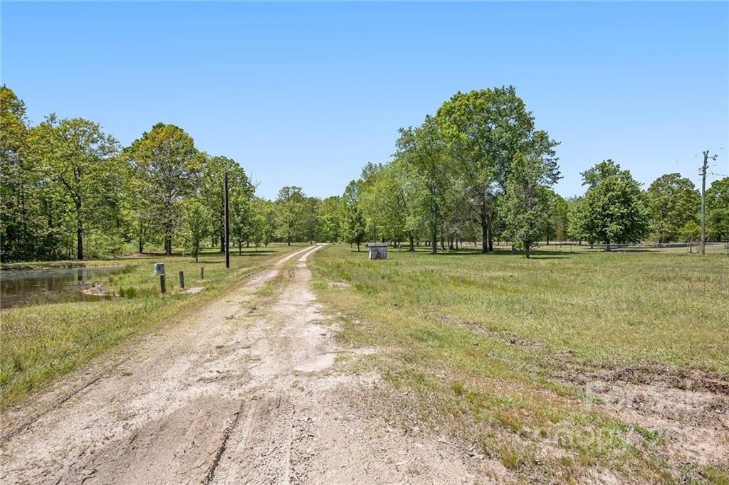 340 Sally Blackwell Road Pageland, SC 29728 - Photo 28 of 30 a view of a field with trees in the background