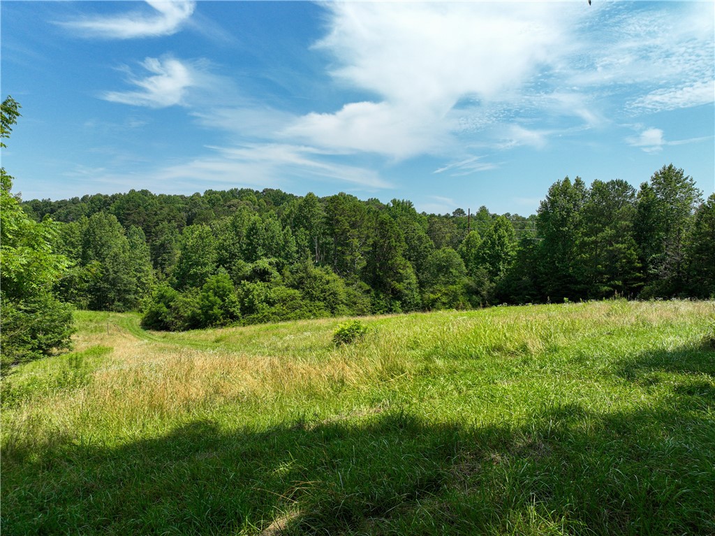 15.627-acres Greenfield Road Westminster, SC 29693 - Photo 15 of 30 Gallery Image 15