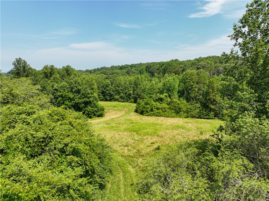 15.627-acres Greenfield Road Westminster, SC 29693 - Photo 21 of 30 Gallery Image 21