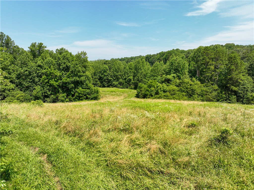 15.627-acres Greenfield Road Westminster, SC 29693 - Photo 4 of 30 Gallery Image 4