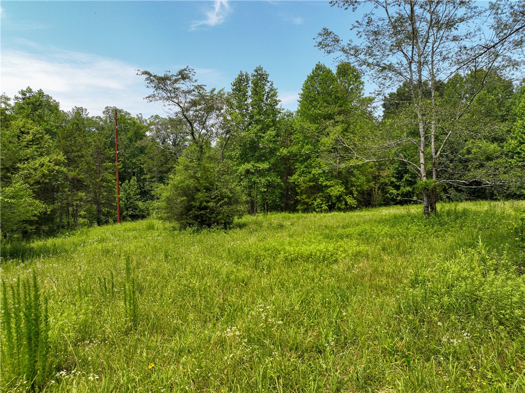 15.627-acres Greenfield Road Westminster, SC 29693 - Photo 6 of 30 Gallery Image 6