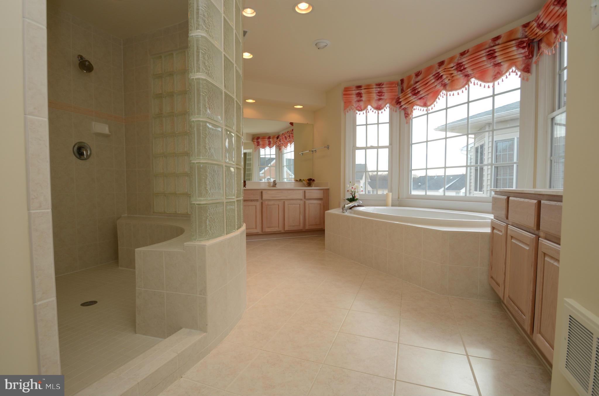 14406 Autumn Rust Road Boyds, MD 20841 - Photo 21 of 30 Bath (Master)