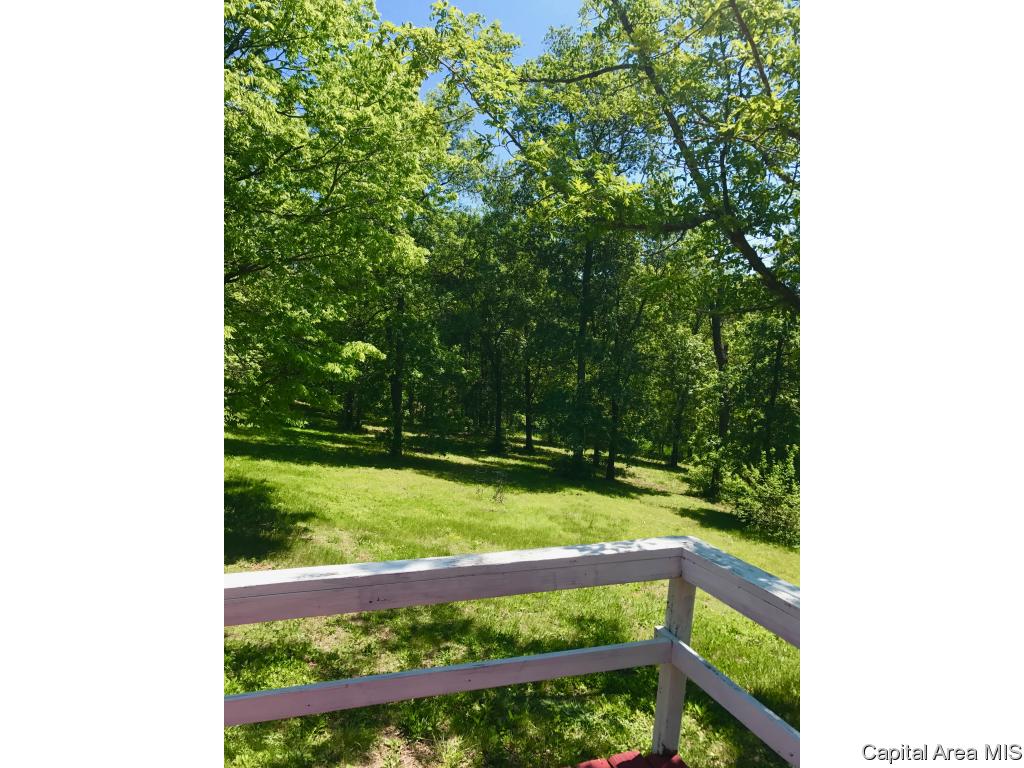 4954 Peck Road Arenzville, IL 62611 - Photo 11 of 13