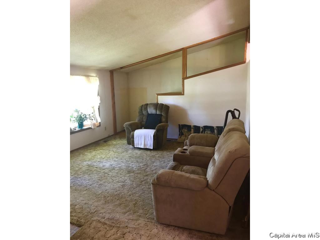 4954 Peck Road Arenzville, IL 62611 - Photo 3 of 13