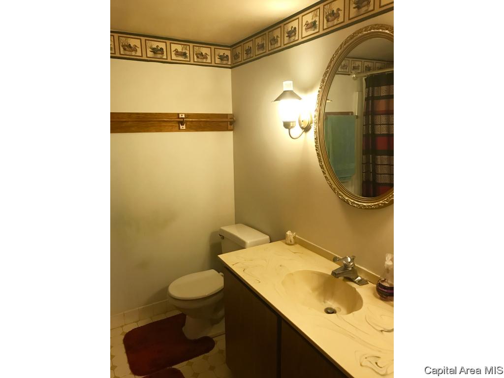 4954 Peck Road Arenzville, IL 62611 - Photo 4 of 13