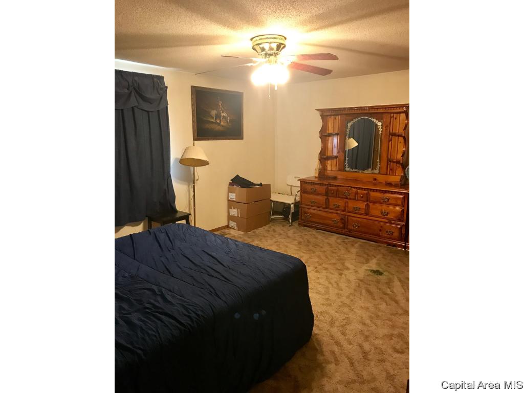 4954 Peck Road Arenzville, IL 62611 - Photo 5 of 13