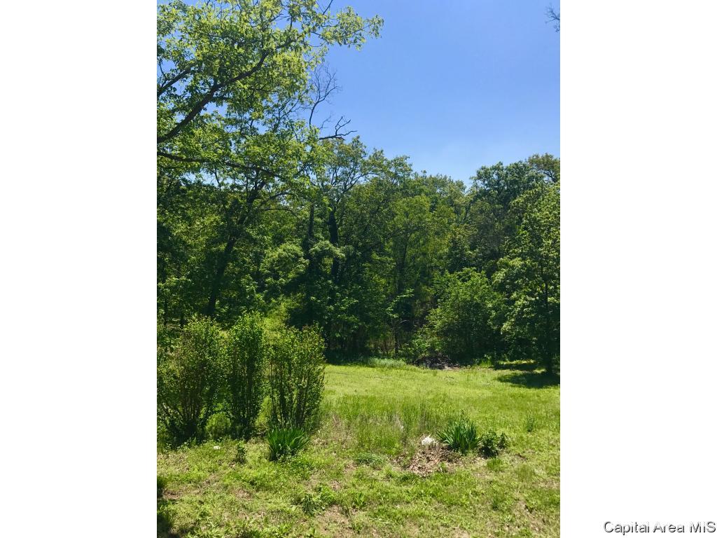 4954 Peck Road Arenzville, IL 62611 - Photo 8 of 13