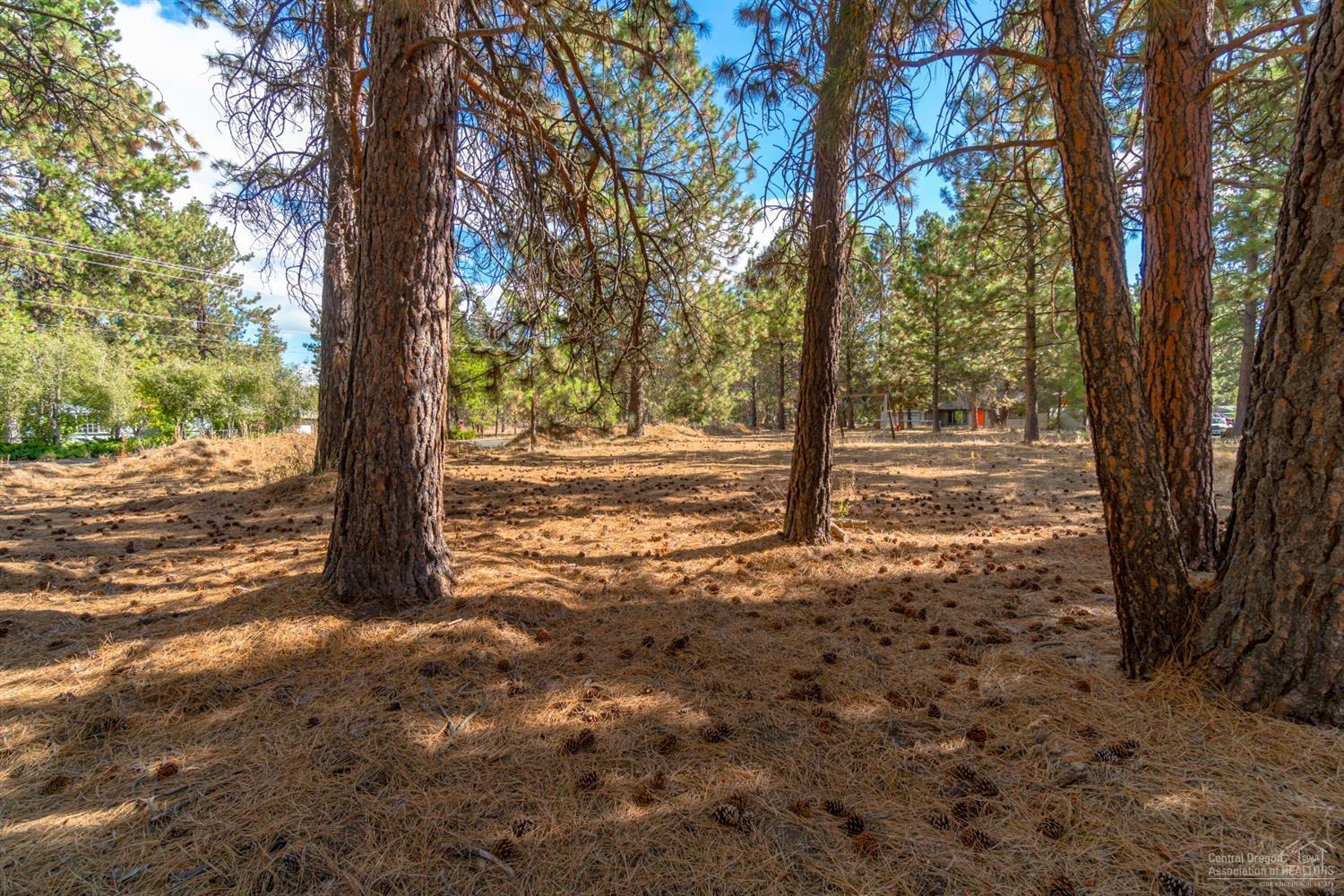 19245 Baker Road Bend, OR 97702 - Photo 4 of 25 Additional Photo
