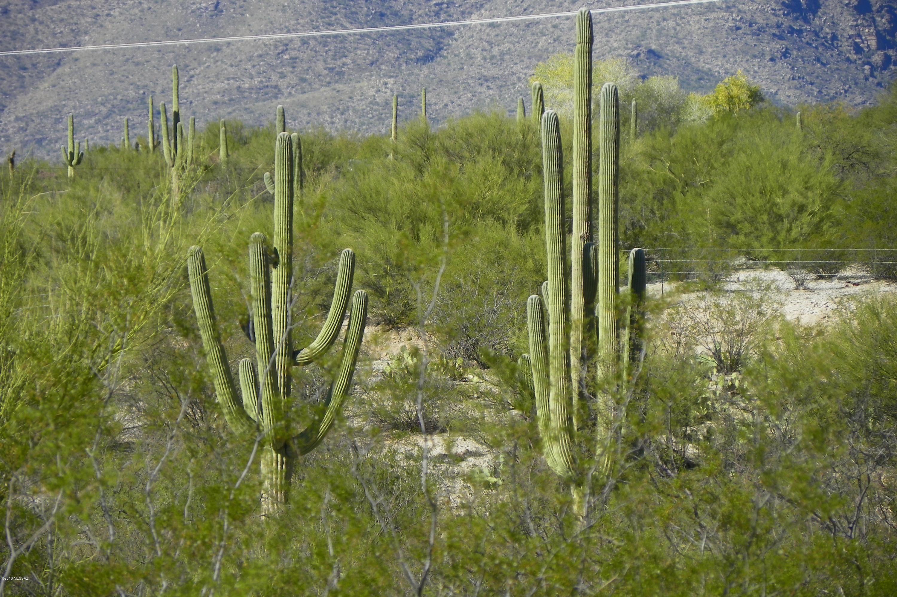 E Cape, Unit 13 Tucson, AZ 85749 - Photo 3 of 10