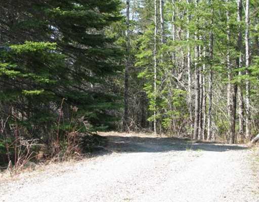Lot#006 County Road Perry, ME 04667 - Photo 5 of 10 Other. Graveled driveway into the...