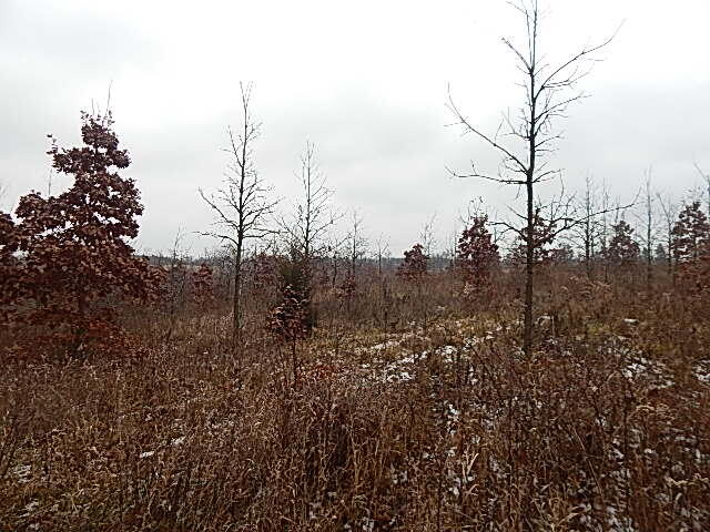 8800 West Territorial Road Montgomery, MI 49255 - Photo 19 of 27 DSCN0798