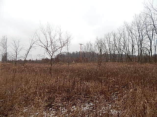 8800 West Territorial Road Montgomery, MI 49255 - Photo 8 of 27 DSCN0787