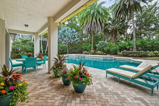 a view of a backyard