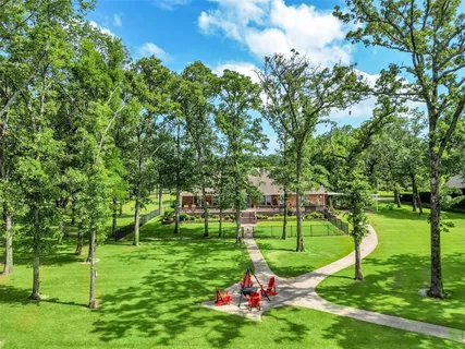 a view of a park with large trees
