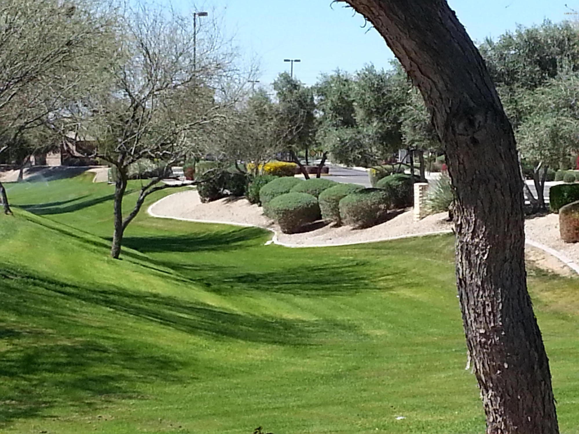 3334 East Blue Ridge Way Gilbert, AZ 85298 - Photo 6 of 67 lush green park