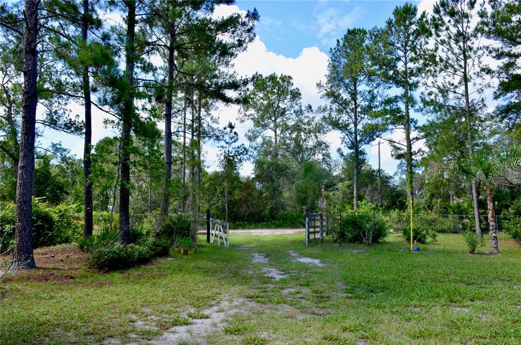 33135 Forest Ridge Road DeLand, FL 32720 - Photo 2 of 24