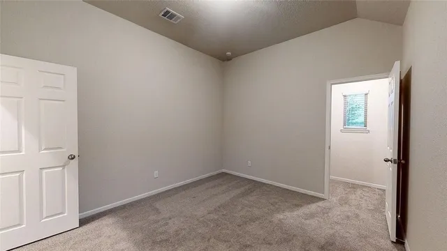 a swimming pool with tall trees