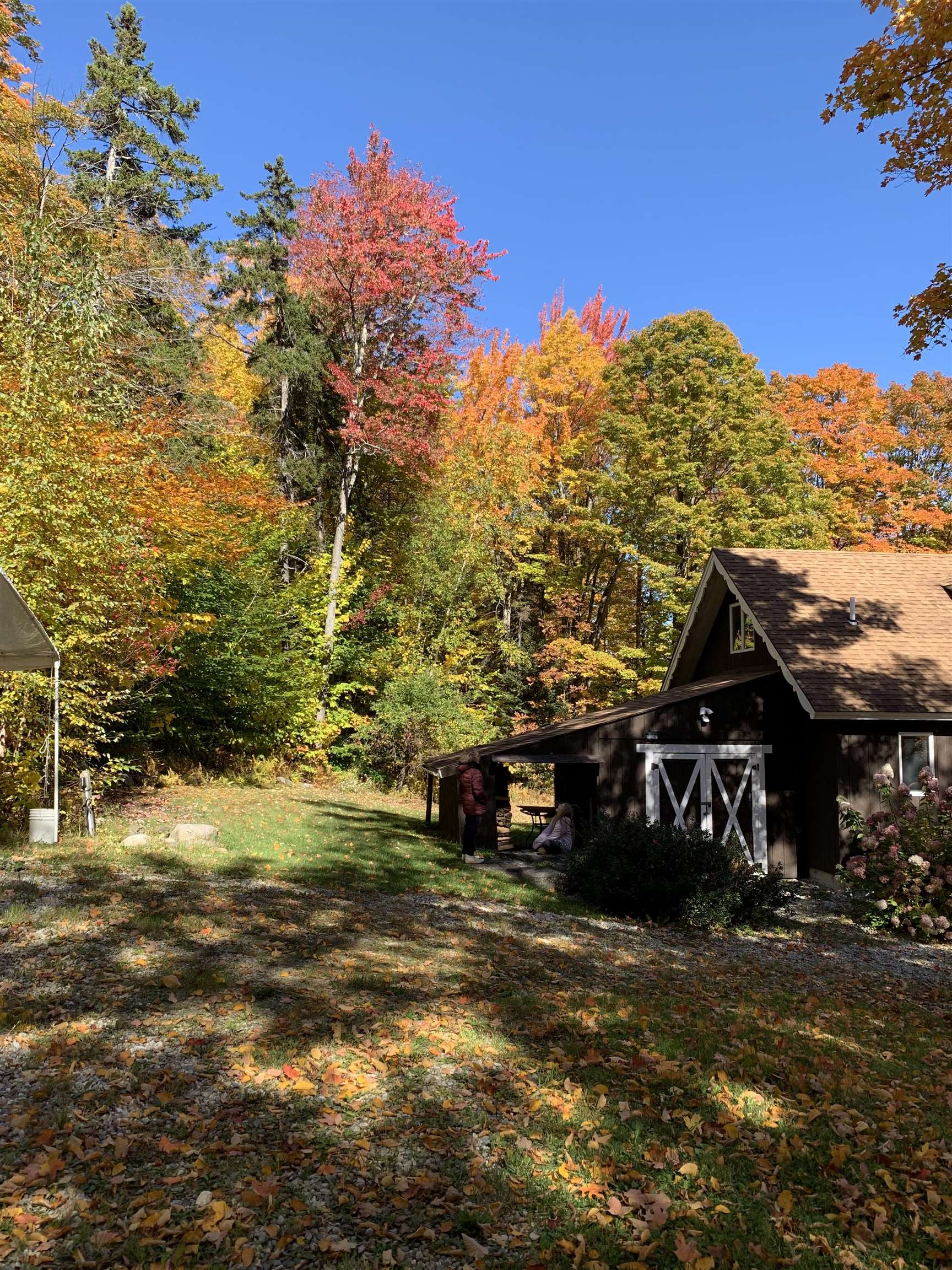 1923 North Hill Road Andover, VT 05143 - Photo 54 of 58
