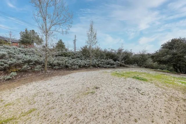 a view of a dry yard with wooden fence