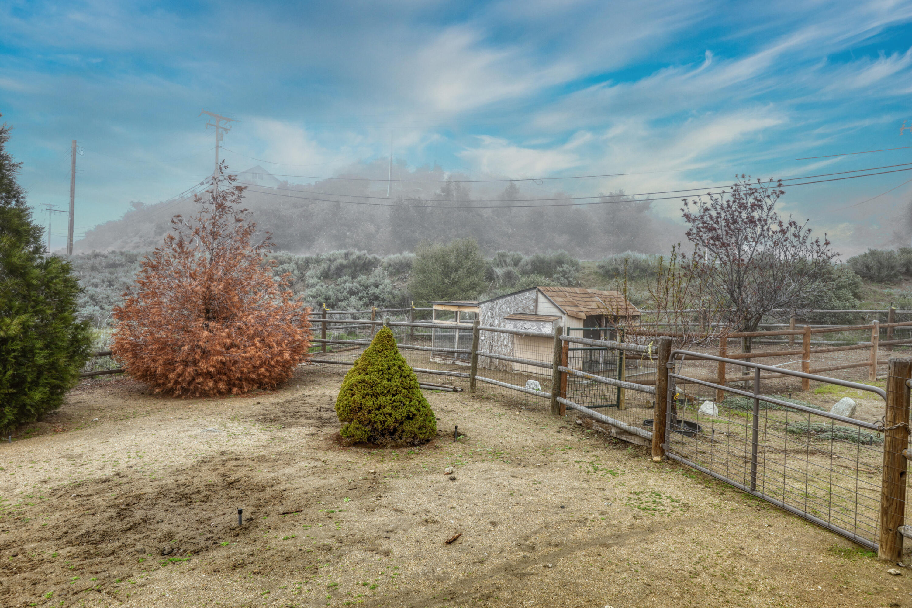 24281 Jacaranda Drive Tehachapi, CA 93561 - Photo 44 of 54 a view of a yard