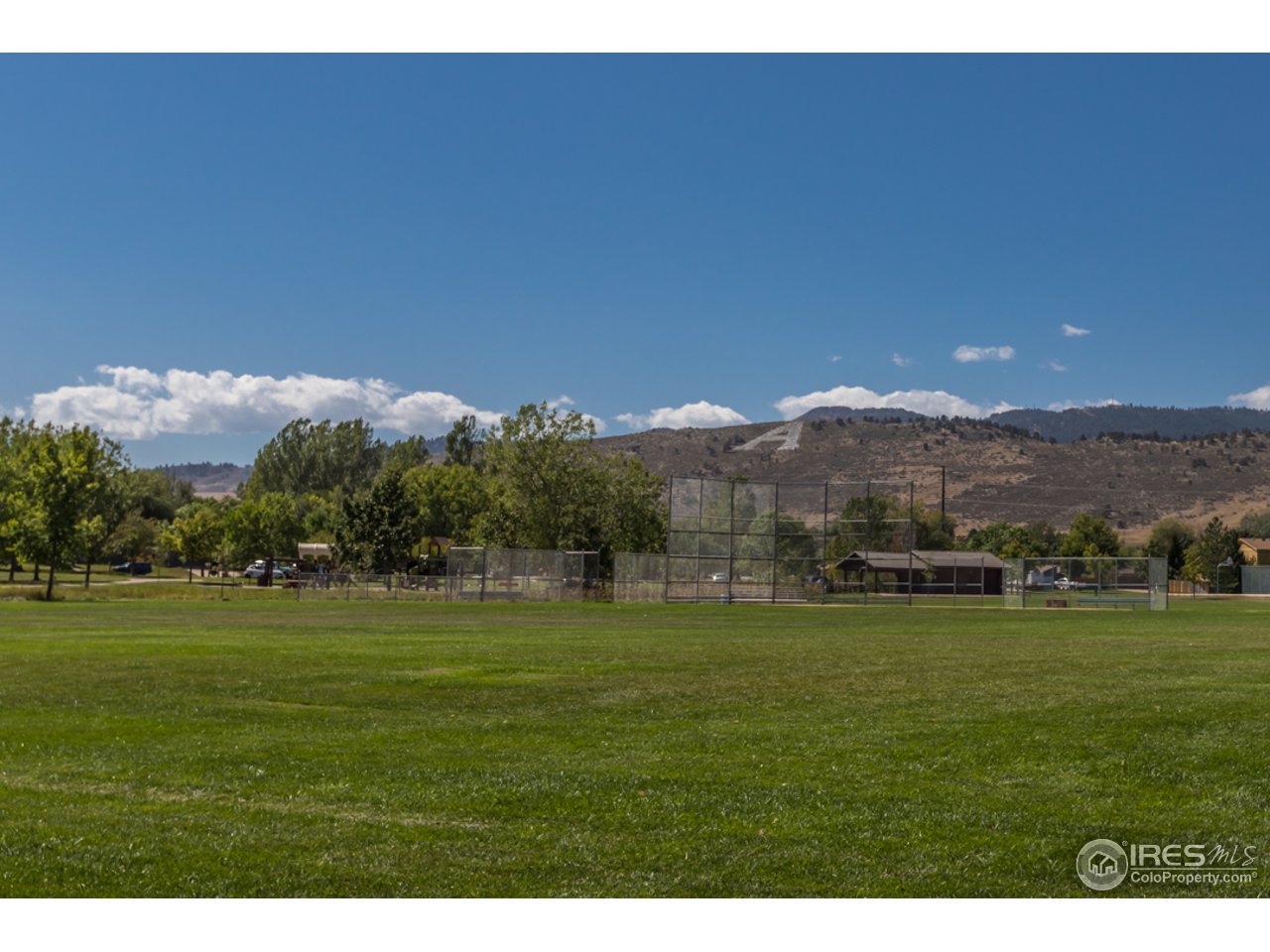 Unobstructed views of "A" and Foothills!