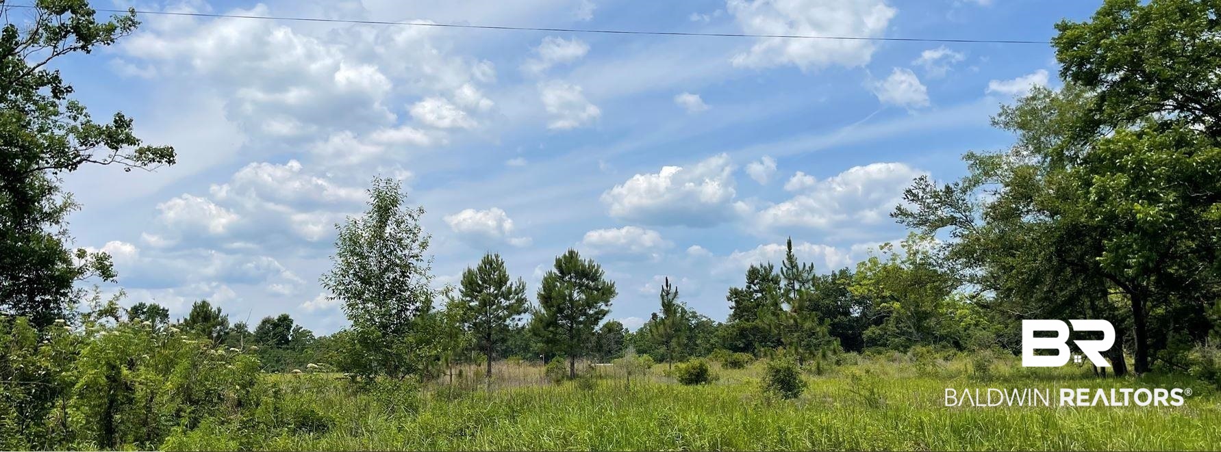 0 McCovery Rd Extension Mobile, AL 36695 - Photo 3 of 3