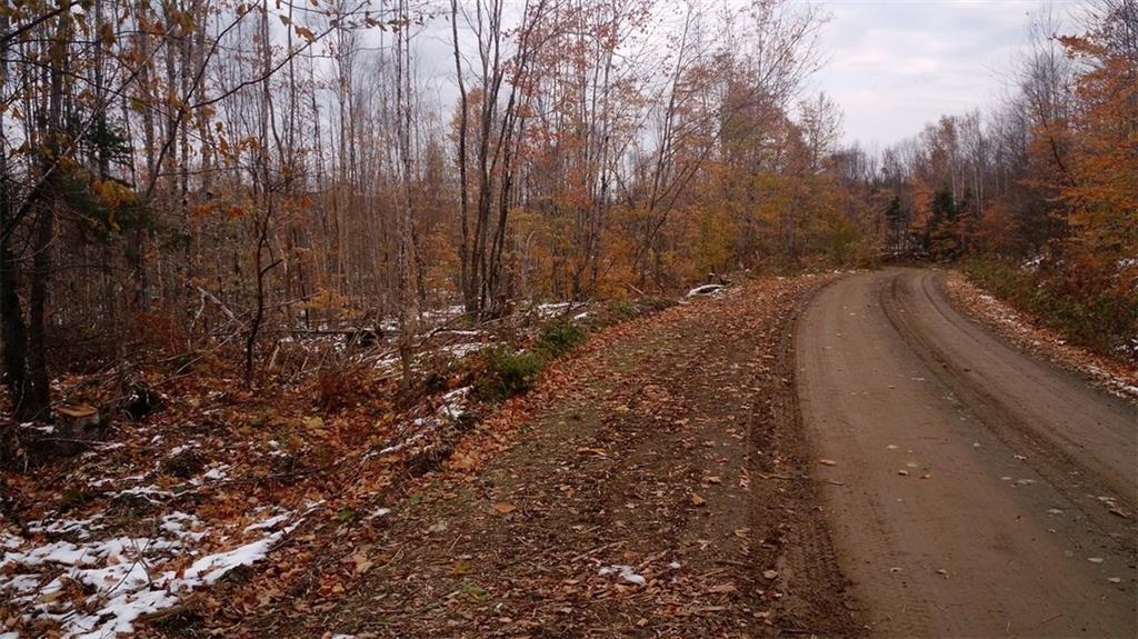 Lot 16 West Off Ackley Pond Rd Mount Mount Chase, ME 04765 - Photo 3 of 8 Photo