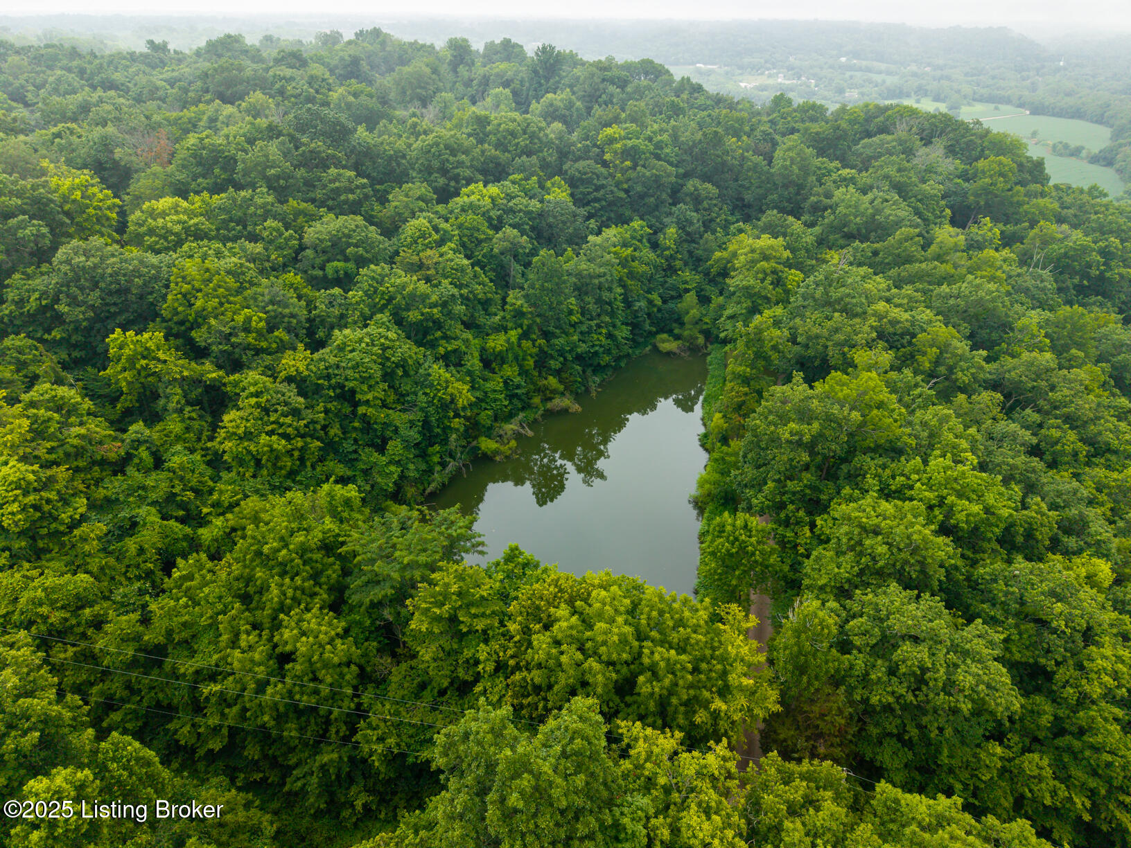 1272 Delta Road Taylorsville, KY 40071 - Photo 1 of 6 Aerial of farm