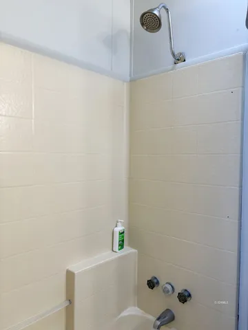 a bathroom with a shower and toilet