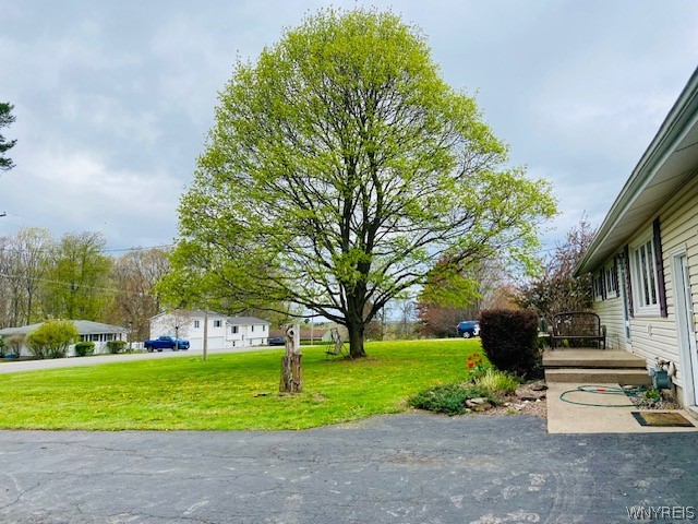 4743 Cottage Road Royalton, NY 14067 - Photo 2 of 41 Beautiful Tree in front of house