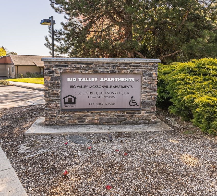 556 G Street Jacksonville, OR 97530 - Photo 3 of 12 a view of outdoor space with garden and trees