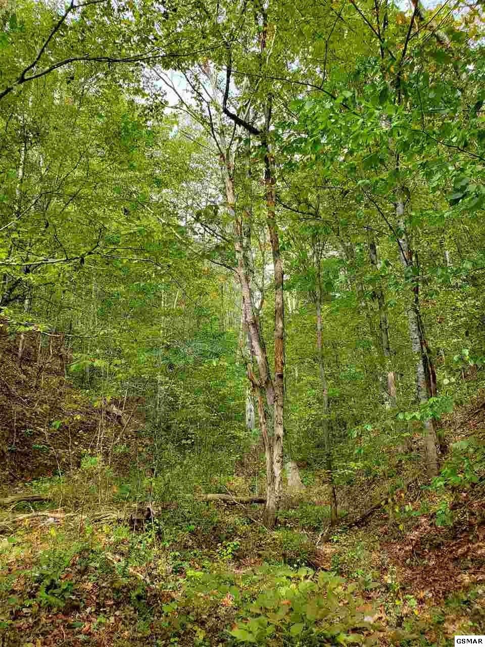 0 Shell Mountain Road Sevierville, TN 37876 - Photo 15 of 35