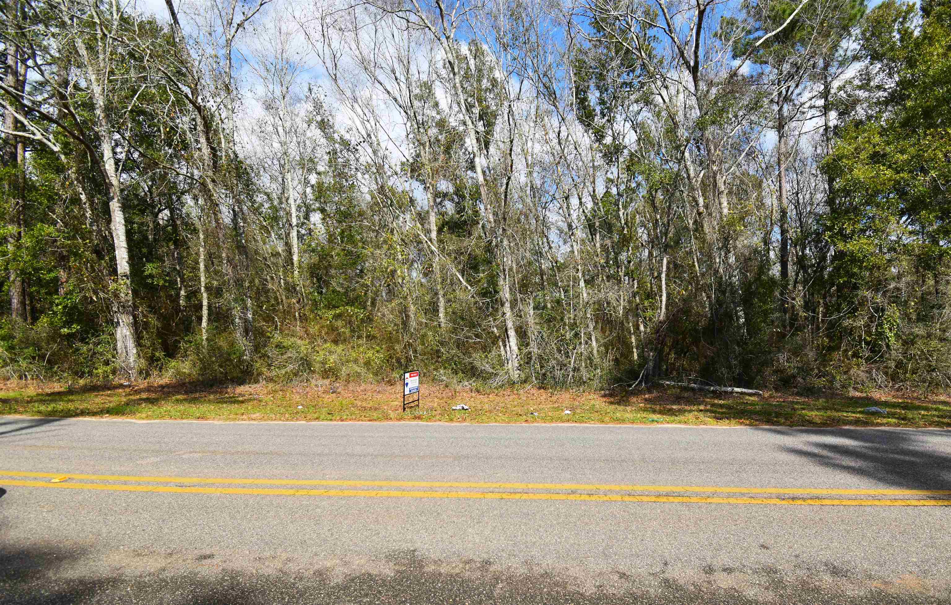 0 West Seminole Road West Seminole, AL 36574 - Photo 3 of 3