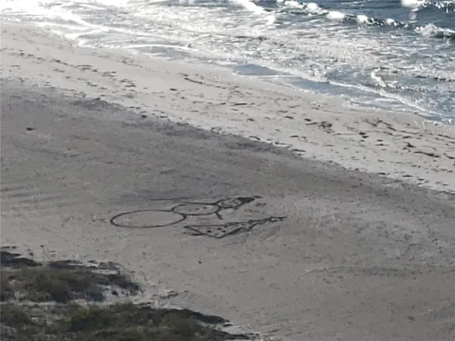 a view of a beach with beach