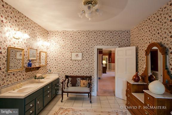 290 Falling Spring Road Shepherdstown, WV 25443 - Photo 15 of 30 Bath (Master)