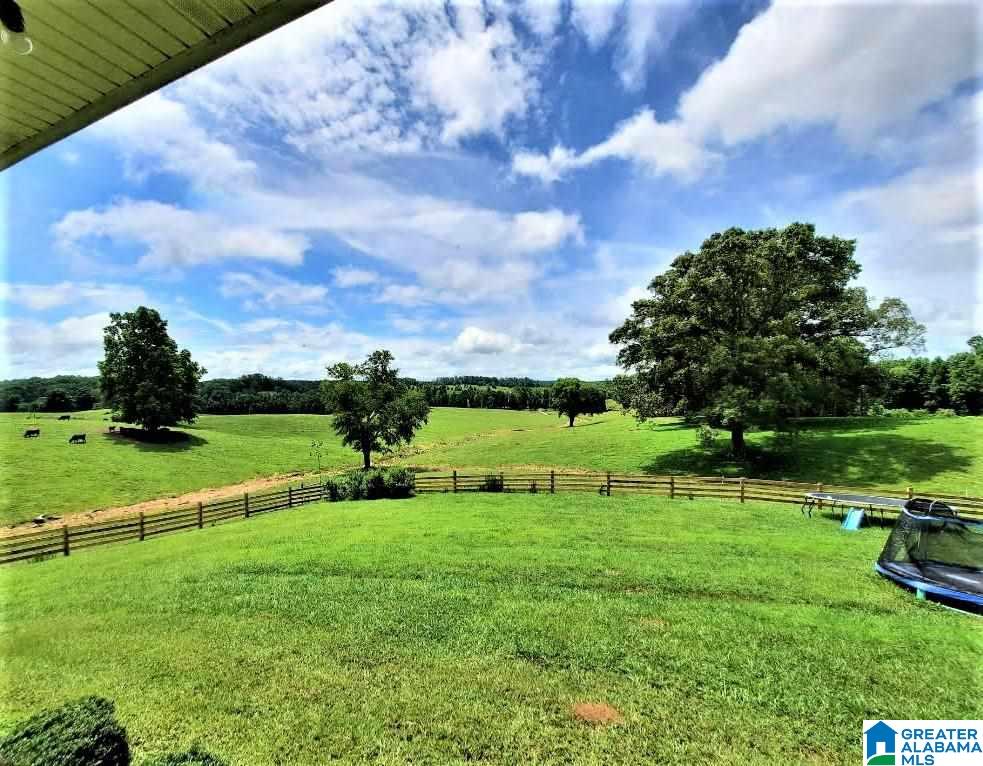 1480 Bells Mill Road Heflin, AL 36264 - Photo 6 of 29