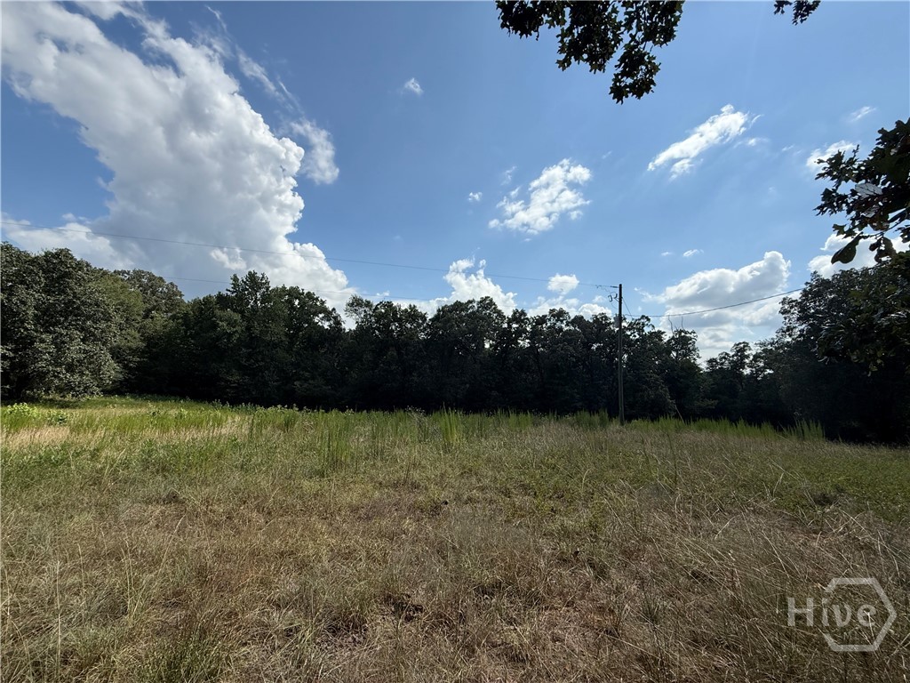 1276 Winns Lake Road Comer, GA 30629 - Photo 18 of 37