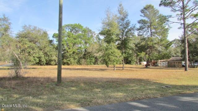 Tbd Southwest 80th Pl Road Dunnellon, FL 34431 - Photo 1 of 1 a view of a yard with a tree