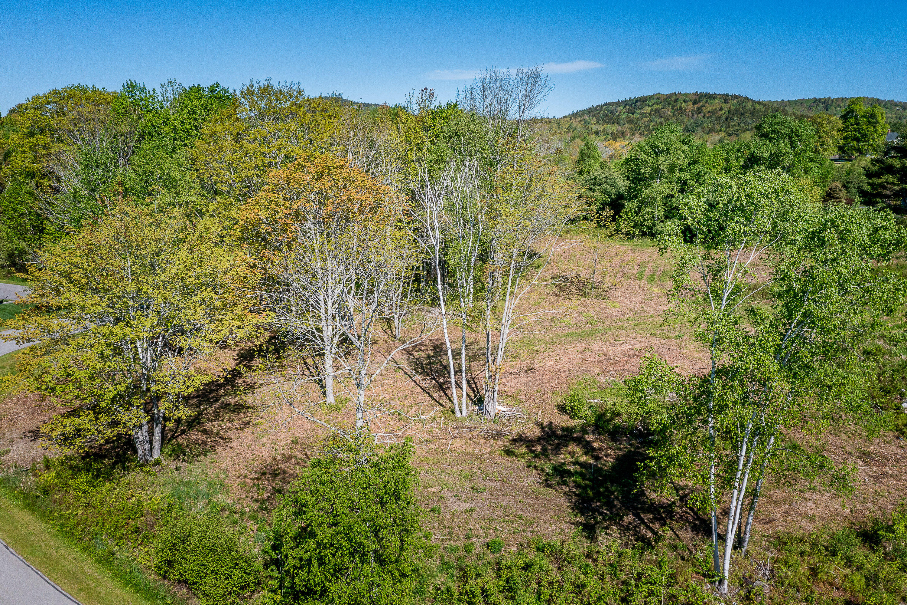 7 Highfields Lane Northport, ME 04849 - Photo 7 of 12 06_7Highfields_LAND_Aerial_S_print