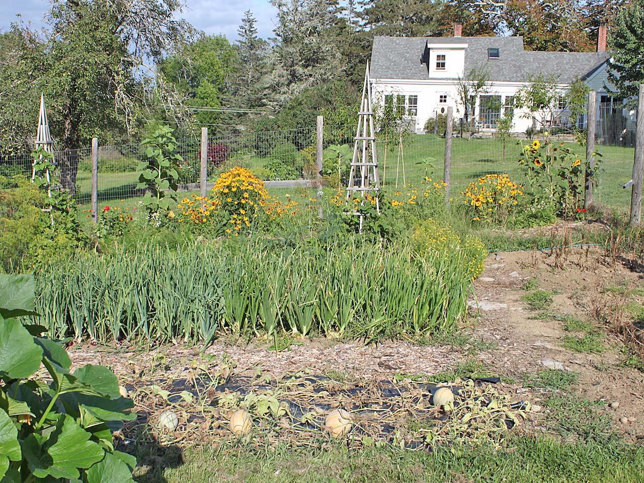 1777 Bristol Road Bristol, ME 04539 - Photo 46 of 48 Garden 1